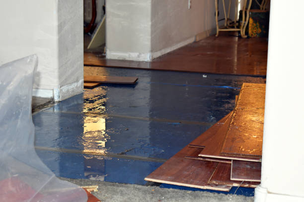 Professional Basement Flood Cleanup technician working in Boon, MI